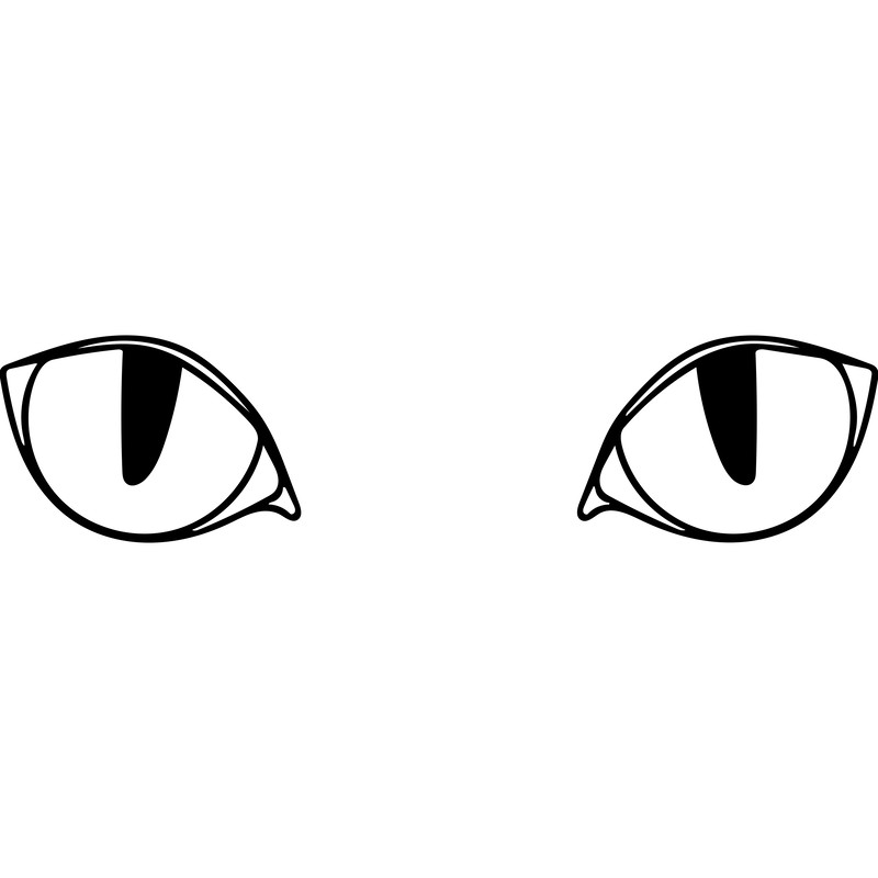 Cat eyes.png