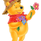 Winnie the Pooh (30).png