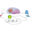 210.png