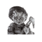 15.png