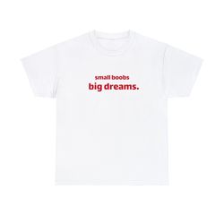 small boobs big dreams t-shirt, iconic slogan t-shirt, 90s aesthetic vintage tee trending print top, 104