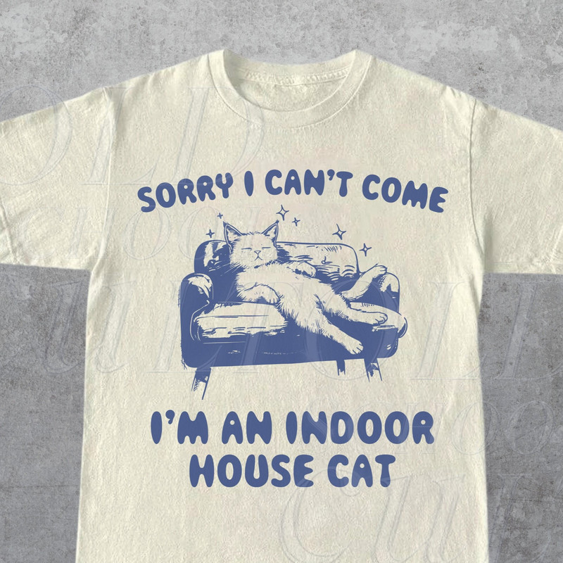 Sorry I Can't Come I'm An Indoor House Cat Vintage T-Shirt, Retro 90s Sleeping Introvert Kitten T Shirt, Funny Cat Graphic T Shirt, Cute Y2k.jpg