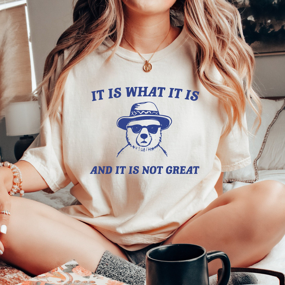 It Is What It Is And It Is Not Great Shirt, Retro Tshirt, Raccoon Tee For Girl, Mental Health Crewneck Shirt - DREAM248.jpg