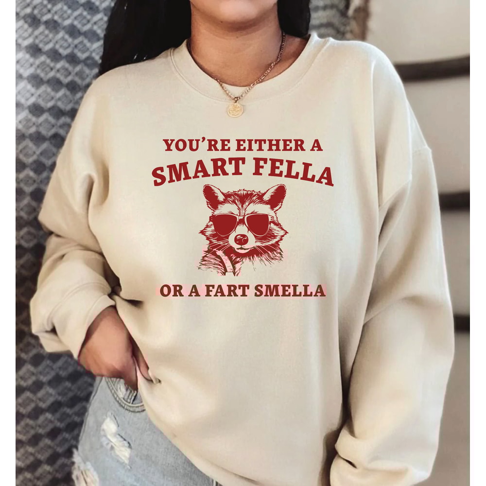 You Are A Smart Fella Or Fart Smella Sweatshirt and Hoodie, Weird Sweatshirt, Funny Meme Shirt, Trash Panda Shirt, LS895.jpg