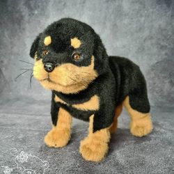 Rottweiler. Realistic dog. Lifelike toy dog. Stuffed dog.