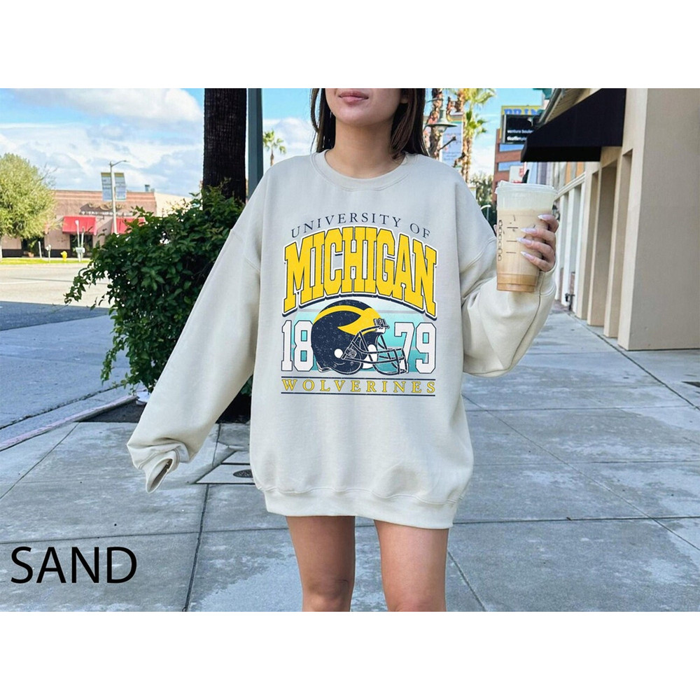 Vintage Michigan Crewneck Sweatshirt, Distressed Michigan Shirt, Illinois Fan Crewneck Michigan, Illinois Gift, College Sweater.jpg
