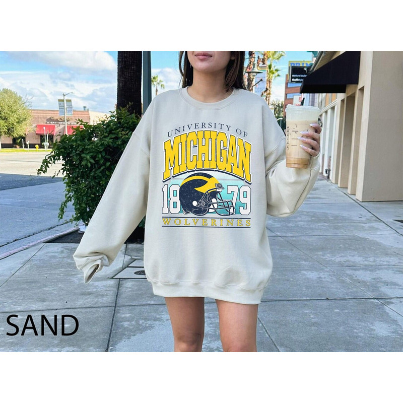 Vintage Michigan Crewneck Sweatshirt, Distressed Michigan Shirt, Illinois Fan Crewneck Michigan, Illinois Gift, College Sweater.jpg