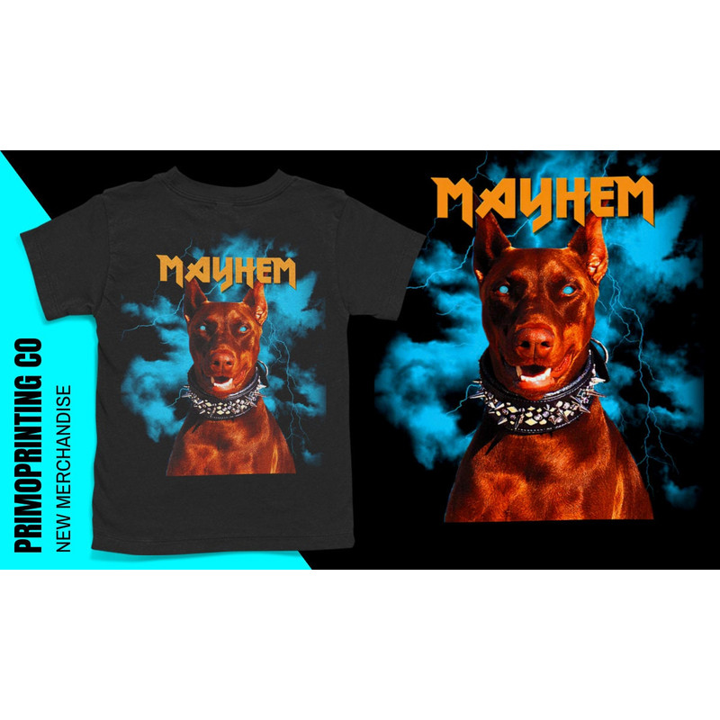 STARGIRL Y2K Doberman Grunge Crop Top Baby Tee - 2000s Punk Shirt Women, Aesthetic Baby Crop Top, 90s Inspired, Y2K Slogan Graphic T-Shirt.jpg