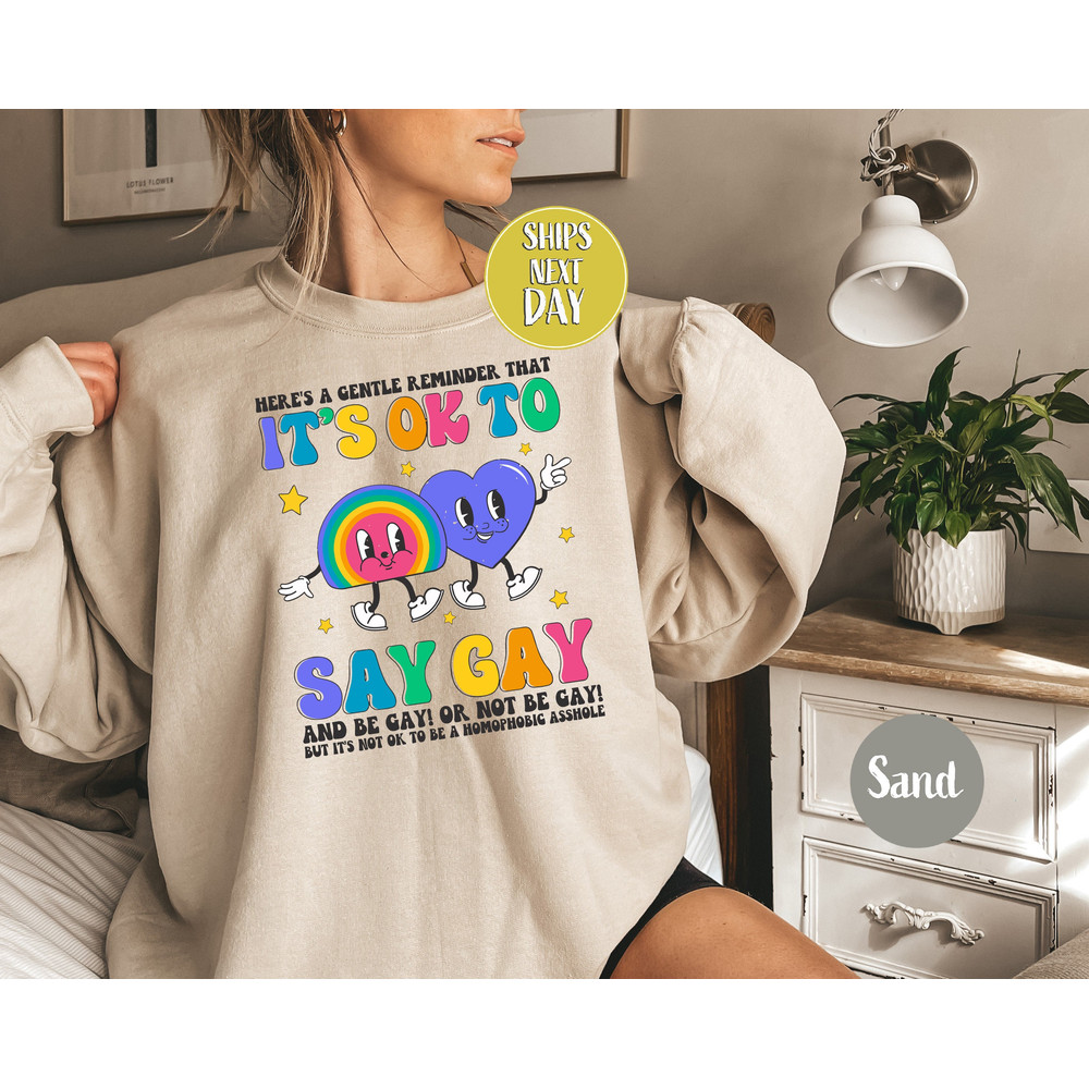 It’s Ok To Say Gay Sweatshirt, LGBTQ Awareness Shirt, LGBTQ Shirt, LGBT Hoodies, Gay Rights, Pride Sweatshirt, Human Rights Sweater -RM013.jpg