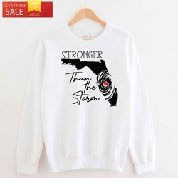 florida strong stronger than the storm shirt, hurricane ian happy place for music lovers