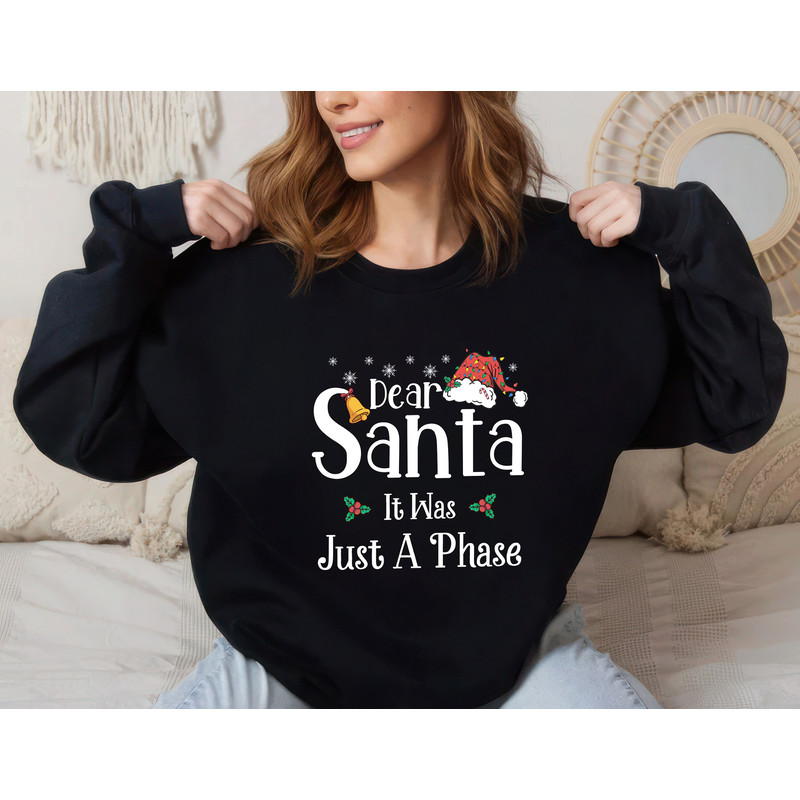 Custom Quotes Dear Santa Christmas Sweatshirt, Family Christmas Unisex Sweater, Funny Christmas Sweatshirt, Sarcastic Dear Santa Shirt.jpg