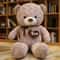 High Quality Teddy Bear With Love Plush Stuffed Animal Pillow For Kids Lovers 4
