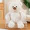 Three Color Bear Plush Toy For Couples Cute Teddy Bear Plush Doll Stuffed Animal For Sweethearts 1
