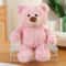 Three Color Bear Plush Toy For Couples Cute Teddy Bear Plush Doll Stuffed Animal For Sweethearts 3