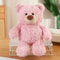 Three Color Bear Plush Toy For Couples Cute Teddy Bear Plush Doll Stuffed Animal For Sweethearts 3