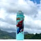 Disney Themed BPA Free Sports Water Bottle Perfect For Camping Hiking And School 0