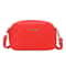 Trendy Embroidered Camera Bag Small Messenger Bag For Women With Fashion Chain Strap 6
