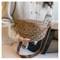 Chic Waist Crossbody Bag With Dual Chain Stylish Chest Bag With Wide Strap 3