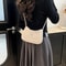Fashion Niche Womens Crescent Bag High End Multifunctional Crossbody Shoulder Bag 1