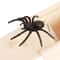 Trick Spider Prank Box Funny Wooden Scare Toy For Friends Office 0