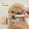 Pet Hair Shedding Comb Stainless Steel Flea Comb For Cat And Dog Grooming 0