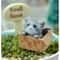 Mini Cat Garden Kitten Statue Cute Baby Room Decoration Gift For Children 3