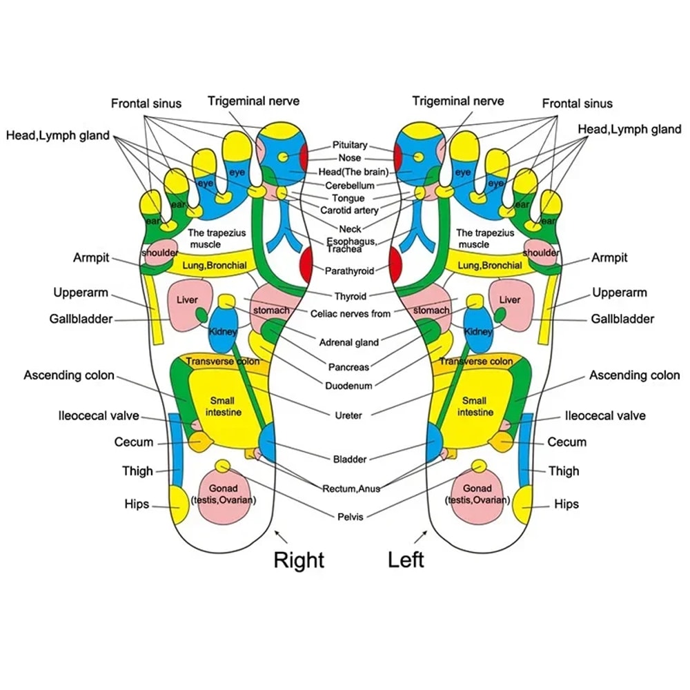 Trigger Point Massage Gua Sha Tool Professional Lymphatic Drainage Wood Therapy Massage Tool For B 1