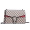 Trendy Vintage Dionysus Mini Shoulder Bag for Women with Chain Strap