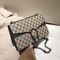 Trendy Vintage Dionysus Mini Shoulder Bag for Women with Chain Strap