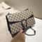 Trendy Vintage Dionysus Mini Shoulder Bag for Women with Chain Strap