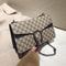 Trendy Vintage Dionysus Mini Shoulder Bag for Women with Chain Strap