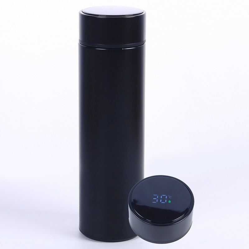 Smart Water Bottle with LED Temperature Display Stainless Steel Insulated Water Flask & Tea Infuser