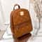 Stylish Womens Backpack Trendy Girls Backpack For Daily Use 2