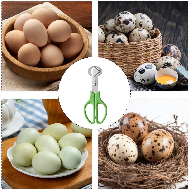 Stainless Steel Egg Scissors Effortless Egg Cutter & Shell Opener