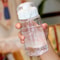 Transparent Water Bottle with Filter & Anti Fall Design Perfect for Men Women & Students