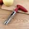 Stainless Steel Apple Corer Precision Fruit Cutter For Kitchen Use 5