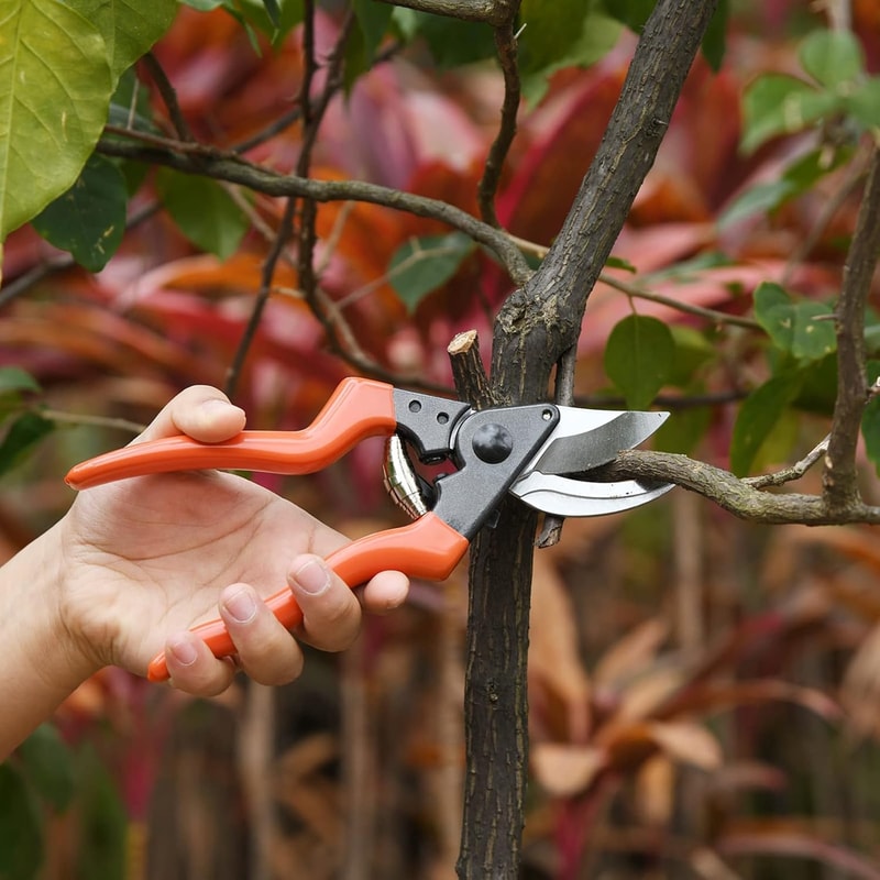 Manual Garden Clippers Bypass Pruners with Comfort Grip for Daily Plant Trimming
