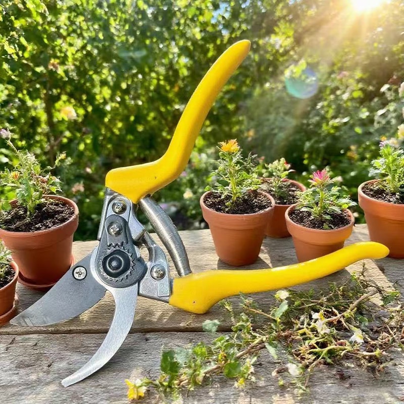 Manual Garden Clippers Bypass Pruners with Comfort Grip for Daily Plant Trimming