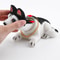 Shake Head Dog Ornament For Car Husky Beagle St Bernard Car Dashboard Decoration 3