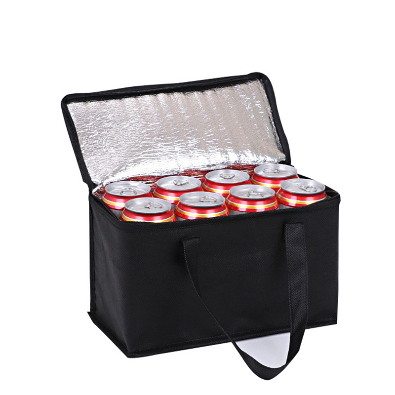 Insulated Lunch Cooler Bag Folding Thermal Picnic Food Carrier for Drinks & Snacks