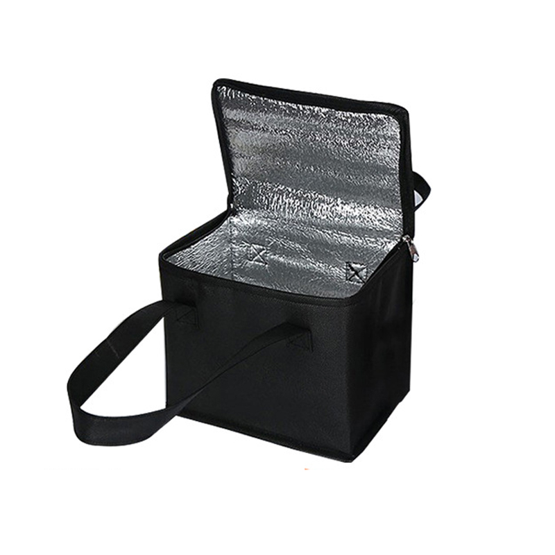 Insulated Lunch Cooler Bag Folding Thermal Picnic Food Carrier for Drinks & Snacks