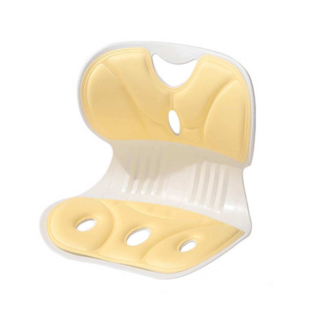 Premium Ergonomic Back & Lumbar Support Cushion for Office Study & Posture Comfort