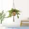 Boho Macrame Plant Hanger Indoor Outdoor Hanging Basket For Succulents 3