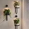 Wall Mounted Indoor Plant Stand with LED Grow Lights Modern Hanging Planter for Living Room Window Decor Black