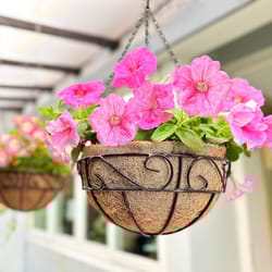 hanging planter with coco liner black metal basket for outdoor plants & balcony decor