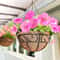 Hanging Planter with Coco Liner Black Metal Basket for Outdoor Plants & Balcony Decor