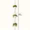 Macrame Double Hanging Planter Basket Stylish Indoor Outdoor Cotton Rope Planter For Home Decor 4