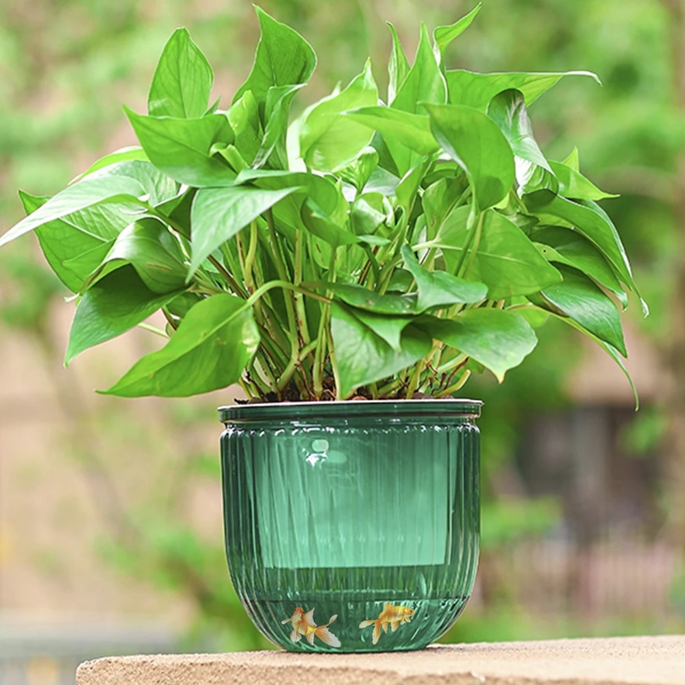 Premium Self Absorbing Hydroponic Flower Pot Thickened Hanging Planter For Indoor Gardening Lazy C 1