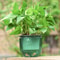 Premium Self Absorbing Hydroponic Flower Pot Thickened Hanging Planter For Indoor Gardening Lazy C 1