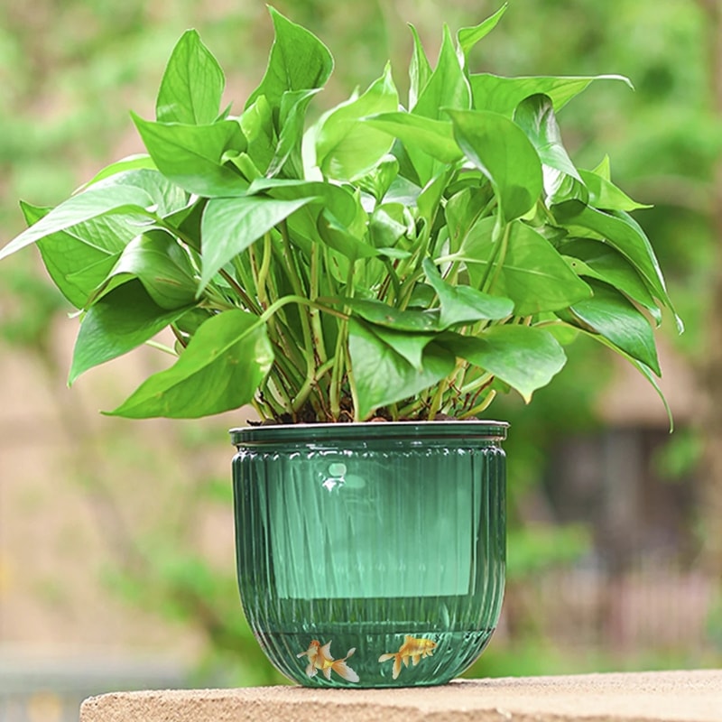 Premium Self Absorbing Hydroponic Flower Pot Thickened Hanging Planter For Indoor Gardening Lazy C 1